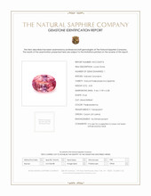 Jewelry Scan Report