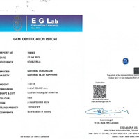 3.03 Ct. Blue Sapphire from Ceylon (Sri Lanka) Pdf