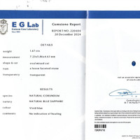 1.67 Ct. Blue Sapphire from Ceylon (Sri Lanka) Pdf