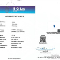 1.25 Ct. Blue Sapphire from Ceylon (Sri Lanka) Pdf