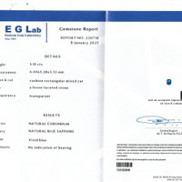 1.15 Ct. Blue Sapphire from Ceylon (Sri Lanka) Pdf