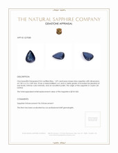 1.09 Ct. Blue Sapphire from Ceylon (Sri Lanka) Appraisal