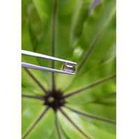 1.30 Ct. Color Change Sapphire from Ceylon (Sri Lanka) Life Style