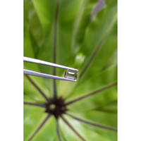 1.30 Ct. Color Change Sapphire from Ceylon (Sri Lanka) Life Style