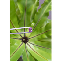 2.04 Ct. Pinkish Purple Sapphire from Ceylon (Sri Lanka) Life Style