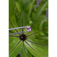 2.83 Ct. Pinkish Purple Sapphire from Ceylon (Sri Lanka) Life Style
