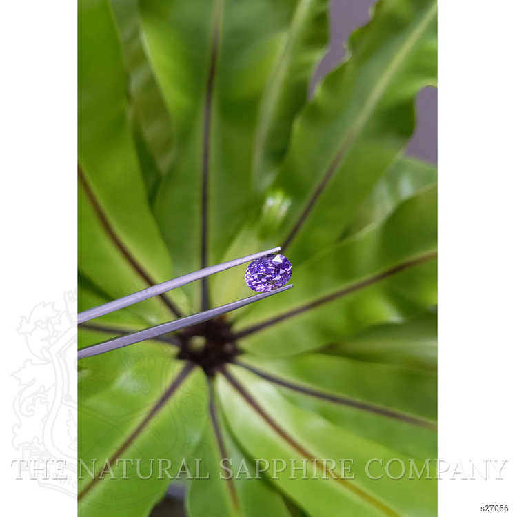 4.06 Ct. Purple Sapphire from Ceylon (Sri Lanka)