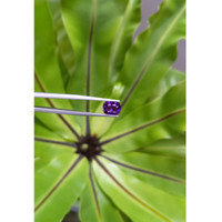 2.18 Ct. Purple Sapphire from Ceylon (Sri Lanka) Life Style