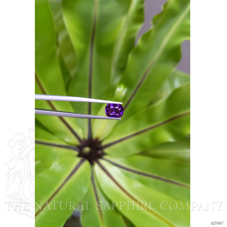 2.18 Ct. Purple Sapphire from Ceylon (Sri Lanka)
