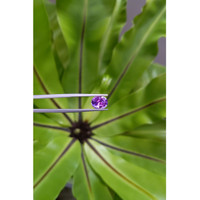 3.39 Ct. Pinkish Purple Sapphire from Ceylon (Sri Lanka) Life Style