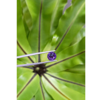 4.60 Ct. Bluish Purple Sapphire from Ceylon (Sri Lanka) Life Style