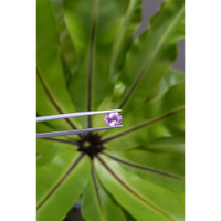 2.02 Ct. Pinkish Purple Sapphire from Ceylon (Sri Lanka) Life Style