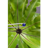 3.03 Ct. Blue Sapphire from Ceylon (Sri Lanka) Life Style