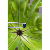 2.74 Ct. Blue Sapphire from Ceylon (Sri Lanka) Life Style