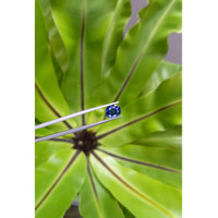 2.98 Ct. Blue Sapphire from Ceylon (Sri Lanka) Life Style