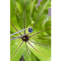 2.42 Ct. Blue Sapphire from Madagascar Life Style