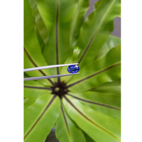 2.97 Ct. Blue Sapphire from Madagascar Life Style