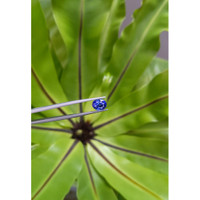 3.05 Ct. Blue Sapphire from Madagascar Life Style
