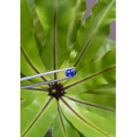 3.17 Ct. Blue Sapphire from Madagascar Life Style