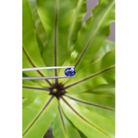 3.12 Ct. Blue Sapphire from Madagascar Life Style