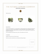 Jewelry Appraisal