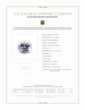 Jewelry Scan Report