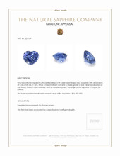 3.98 Ct. Blue Sapphire from Ceylon (Sri Lanka) Appraisal