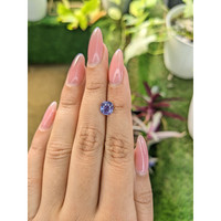2.15 Ct. Violet Sapphire from Ceylon (Sri Lanka) Life Style