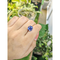 6.39 Ct. Blue Sapphire from Ceylon (Sri Lanka) Life Style
