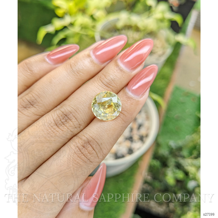 10.51 Ct. Yellow Sapphire from Ceylon (Sri Lanka)