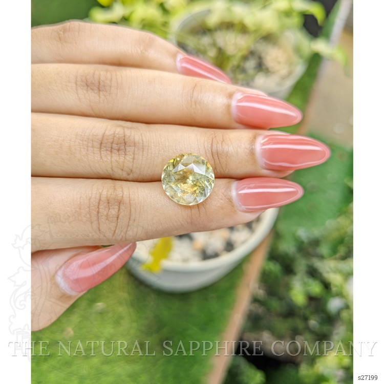 10.51 Ct. Yellow Sapphire from Ceylon (Sri Lanka)