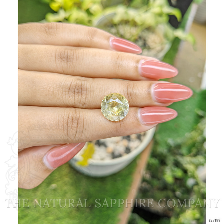 10.51 Ct. Yellow Sapphire from Ceylon (Sri Lanka)