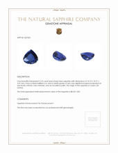 3.22 Ct. Blue Sapphire from Ceylon (Sri Lanka) Appraisal