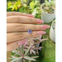 1.49 Ct. Blue Sapphire from Ceylon (Sri Lanka) Life Style