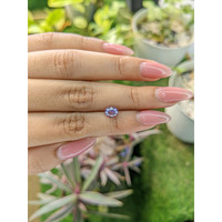 1.27 Ct. Purple Sapphire from Ceylon (Sri Lanka) Life Style