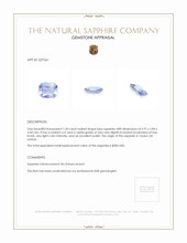 1.20 Ct. Blue Sapphire from Ceylon (Sri Lanka) Appraisal