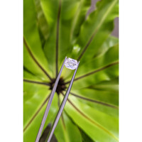 1.72 Ct. Yellow Sapphire from Ceylon (Sri Lanka) Life Style