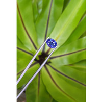 3.51 Ct. Blue Sapphire from Ceylon (Sri Lanka) Life Style