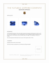 3.58 Ct. Blue Sapphire from Ceylon (Sri Lanka) Appraisal