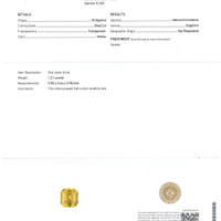 Jewelry Scan Report