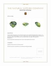 1.32 Ct. Bi Color Sapphire from Madagascar Appraisal