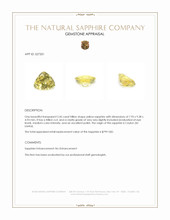 Jewelry Appraisal
