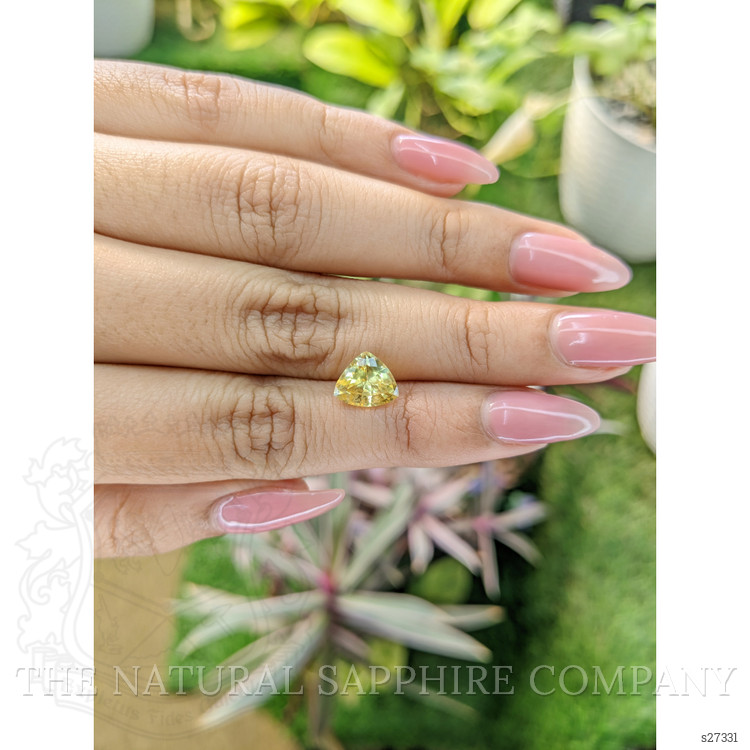 2.45 Ct. Yellow Sapphire from Ceylon (Sri Lanka)