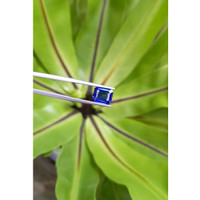3.07 Ct. Blue Sapphire from Ceylon (Sri Lanka) Life Style