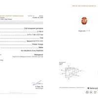 Jewelry Scan Report