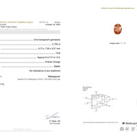 Jewelry Scan Report