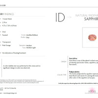 Jewelry Scan Report