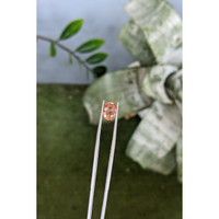 2.69 Ct. Padparadscha Sapphire from Ceylon (Sri Lanka) Life Style