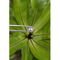 2.50 Ct. Purple Sapphire from Ceylon (Sri Lanka) Life Style