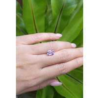 2.50 Ct. Purple Sapphire from Ceylon (Sri Lanka) Life Style